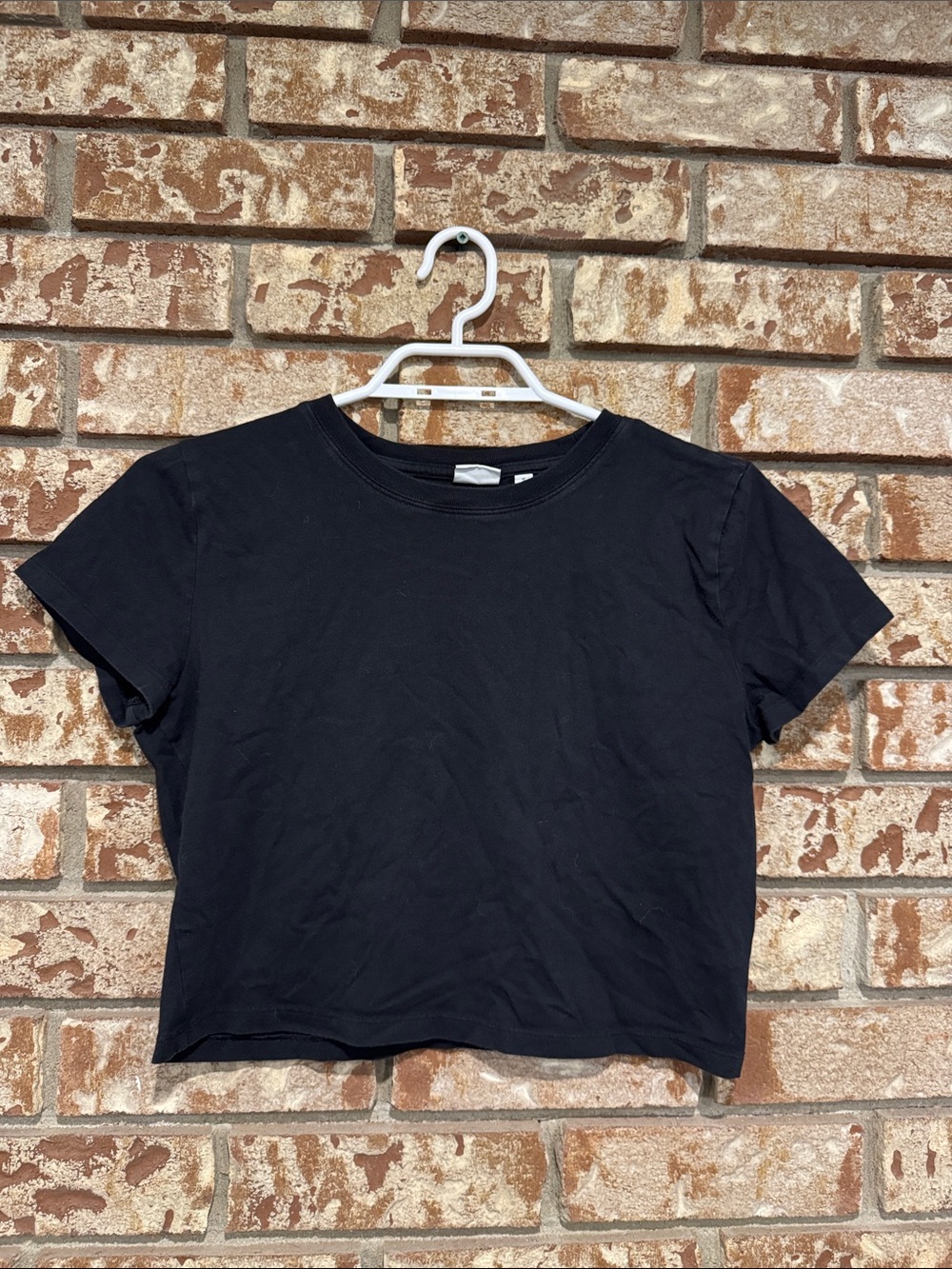 Sunday Best Black Wonderland Cropped T-shirt